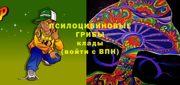 скорость Бронницы