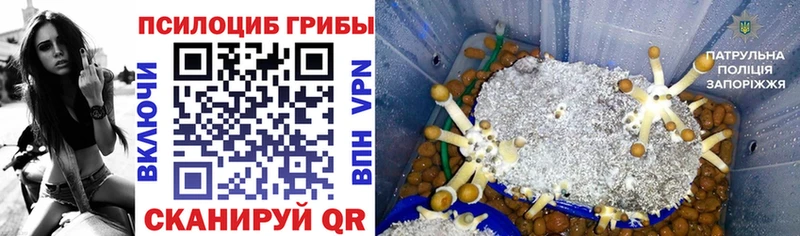 дарнет шоп  Коммунар  МЕГА зеркало  Галлюциногенные грибы Psilocybine cubensis 